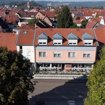 Hotel-gasthof Zum Ritter 호텔 Haßmersheim