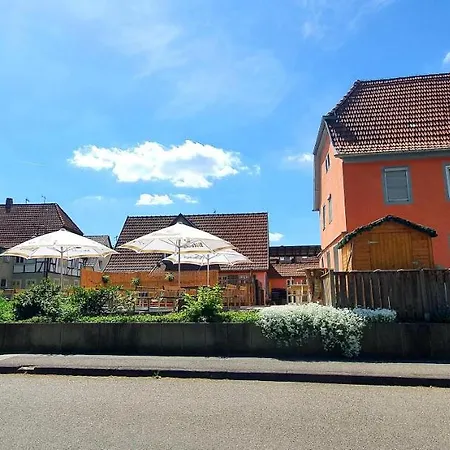 Hotel-gasthof Zum Ritter 3* Hassmersheim