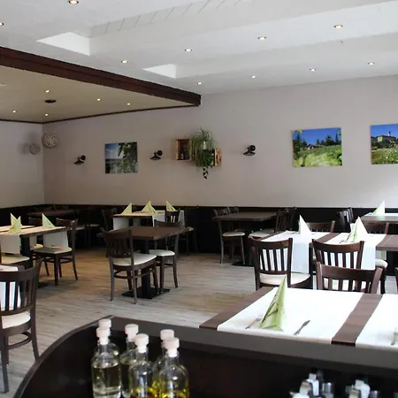 호텔 Hotel-gasthof Zum Ritter Haßmersheim