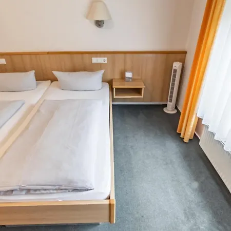 호텔 Hotel-gasthof Zum Ritter 3*
