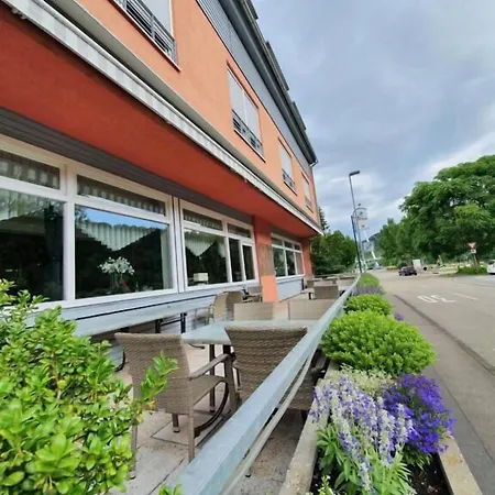 호텔 Hotel-gasthof Zum Ritter 3*