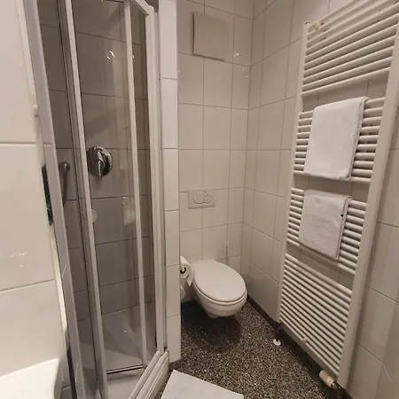 Hotel-gasthof Zum Ritter 3* Haßmersheim